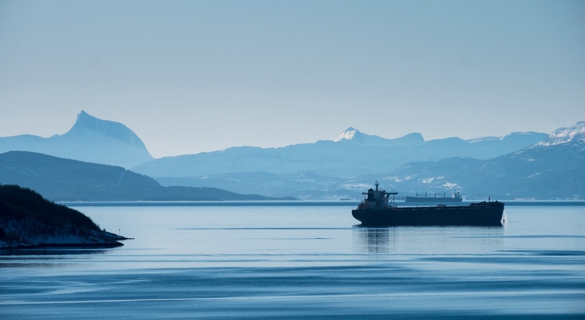 Narvik. utsikt fra Hålogalandsbrua i retning sørvest. Malmskip ligger hhv utenfor flyplassen og utenfor Virak. Bak til venstre fjellet Kuglhornet i Efjord.. Foto 11. mars 2019