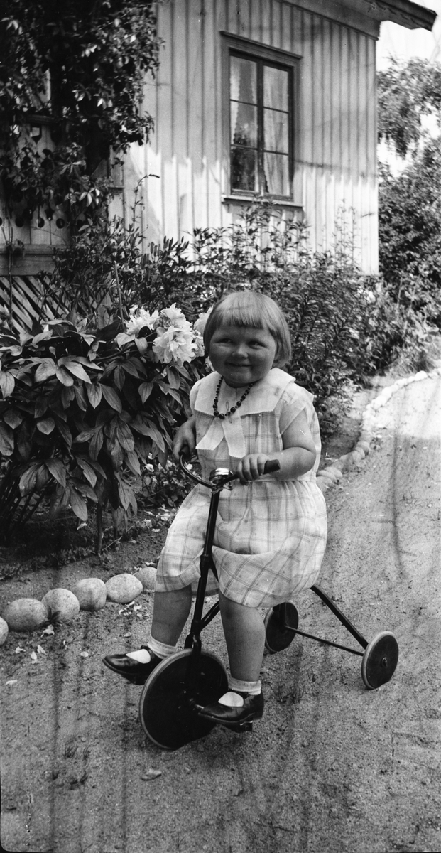 Lilla flickan Kerstin cyklar på en trehjuling på den sandade och krattade gången längs bostadshuset på Järlövs gård. Rabatten är kantad med rundade stenar och där prunkar dahlior, liljor, riddarsporrar och annat.