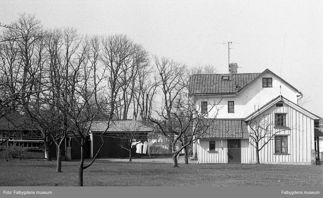 Byggnadsinventering 1972. Buntmakaren, Hästbacken. Stä 172 från Ö.
