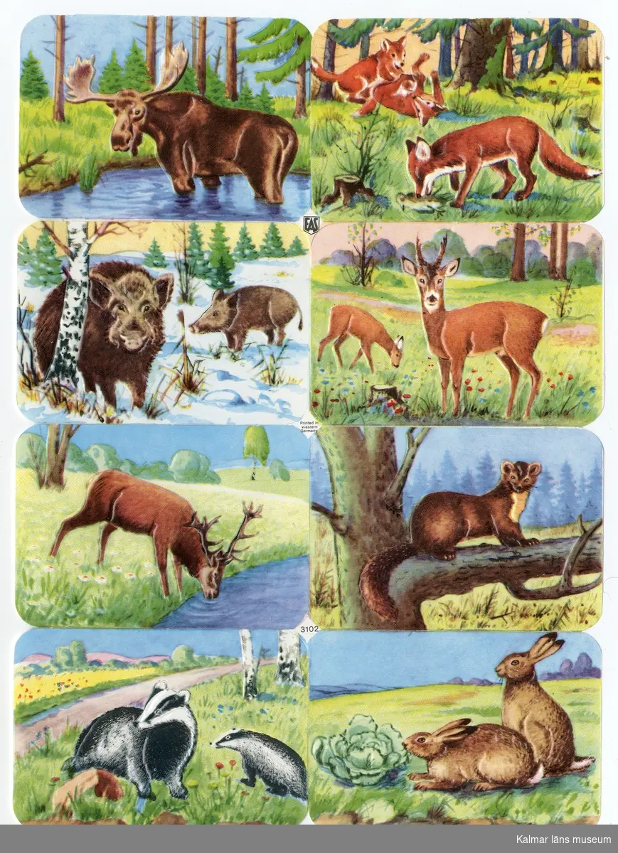 Nordiska vilda djur; älg, räv, vildsvin, rådjur, hjort, mård, grävling och kanin.