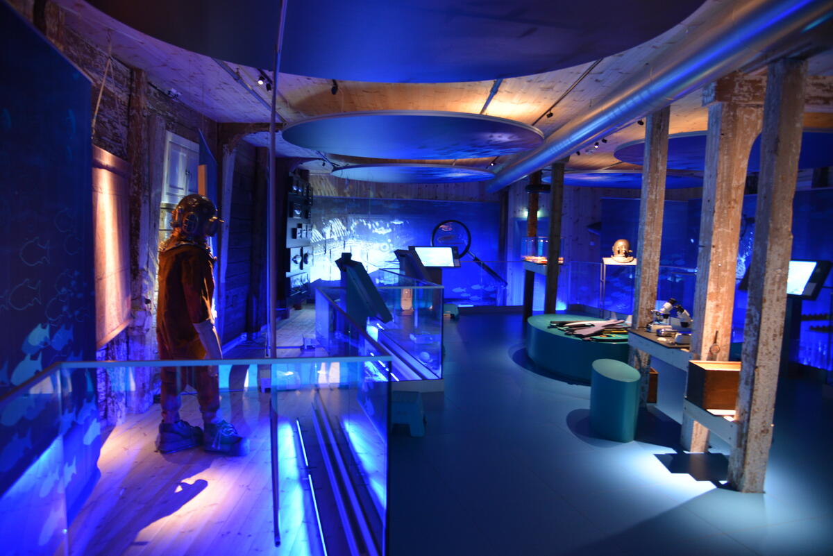 Bildet viser et rom som er opplyst av et blått lys og viser utstillingen Verden under vann