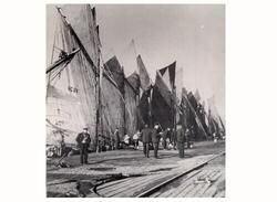 Fiskebåtar lossar sillfångst i Varbergs hamn. På kajen står 