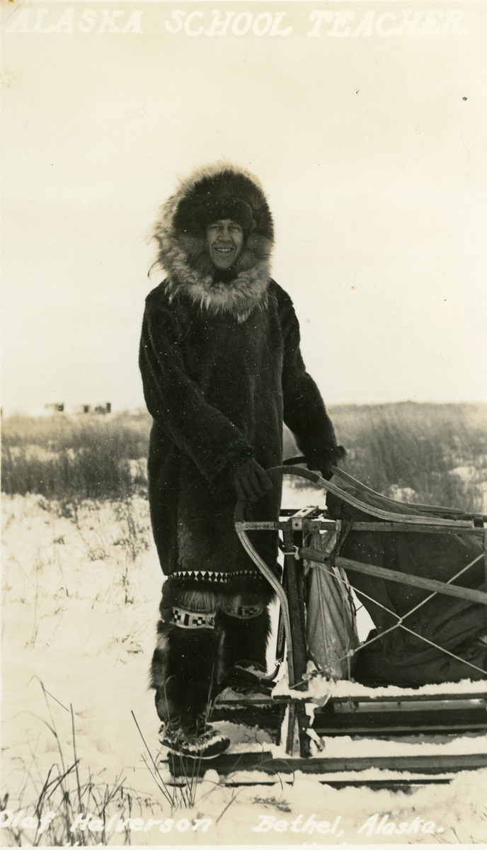 Olaf Halvorson, Alaska ved ein køyreslede.  Han var lærar.  