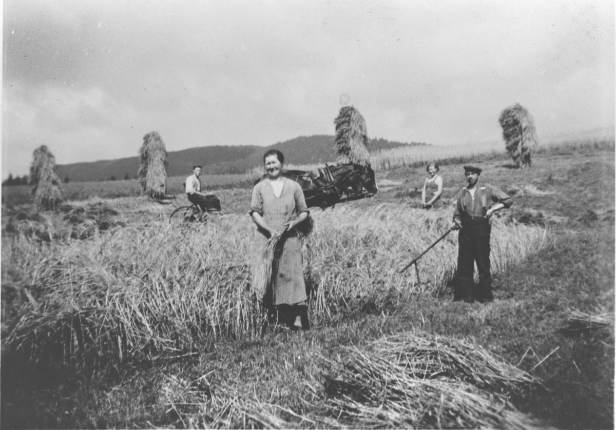 Skuronn på Mellom-Støvern, omkring 1930. Anders og Gunhild Strand står fremst på bildet.
