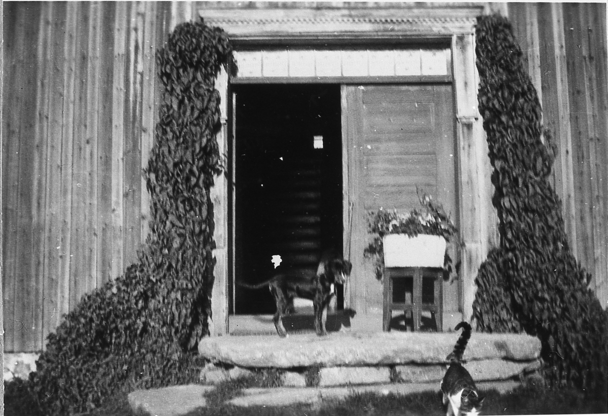 Gangdøra på Flaagan, 1934