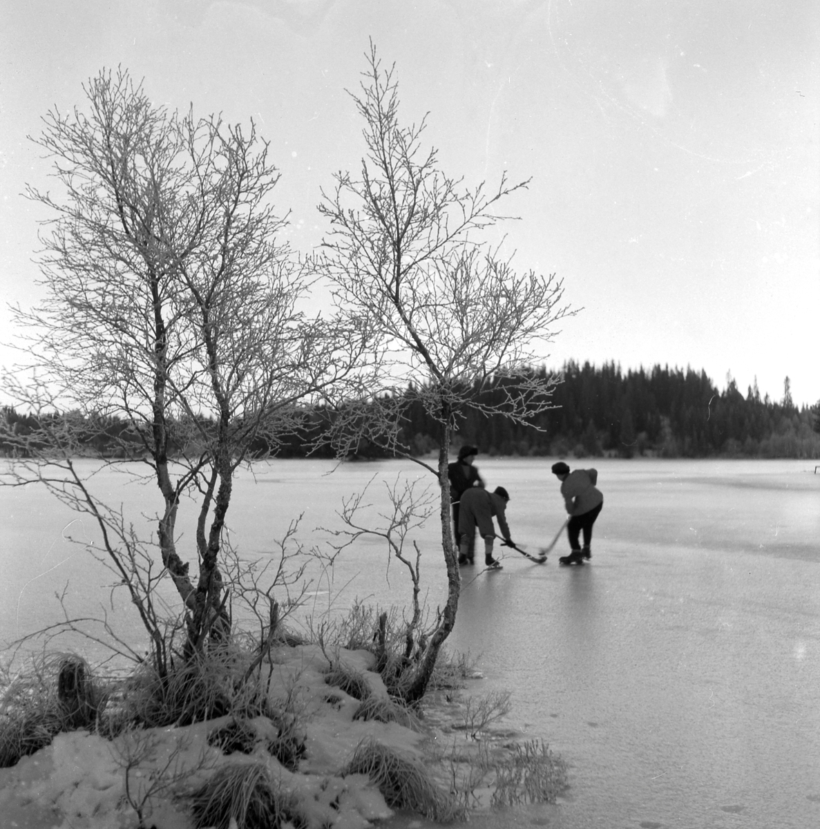 Skøyteløpere på Lianvannet