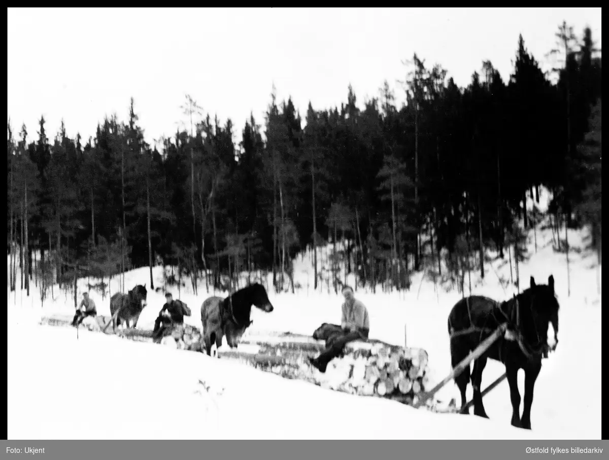 Tømmerkjøring på Fellebekkmyra i Rømskog 1954.