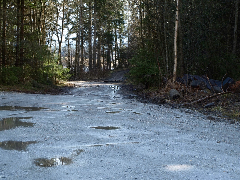 Veien til fergestedet kom rett vestfra. Her ved veien slo taterfamilier leir like ved passasjen over Rødenessjøen. Foto: Bodil Andersson, Østfoldmuseene-Halden historiske Samlinger.