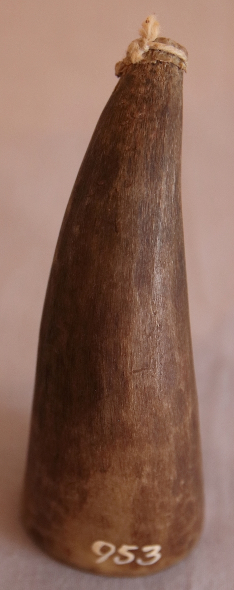 Pustad spets av ett horn med vaxat papper fäst med snöre i hornets spets.
