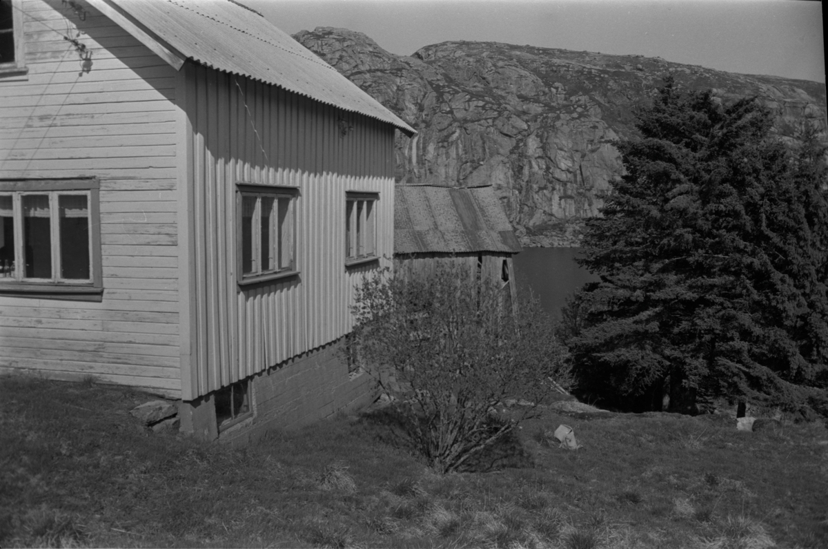 Egeli i Helleland, ca. 1970.