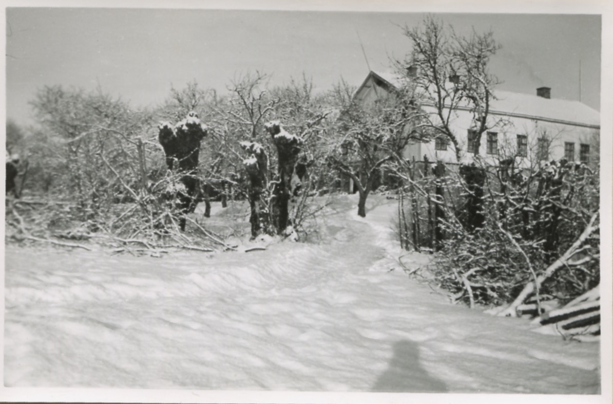 "Sandbergs" hus och tomt Sagered 3:3 vintern 1954-55.
