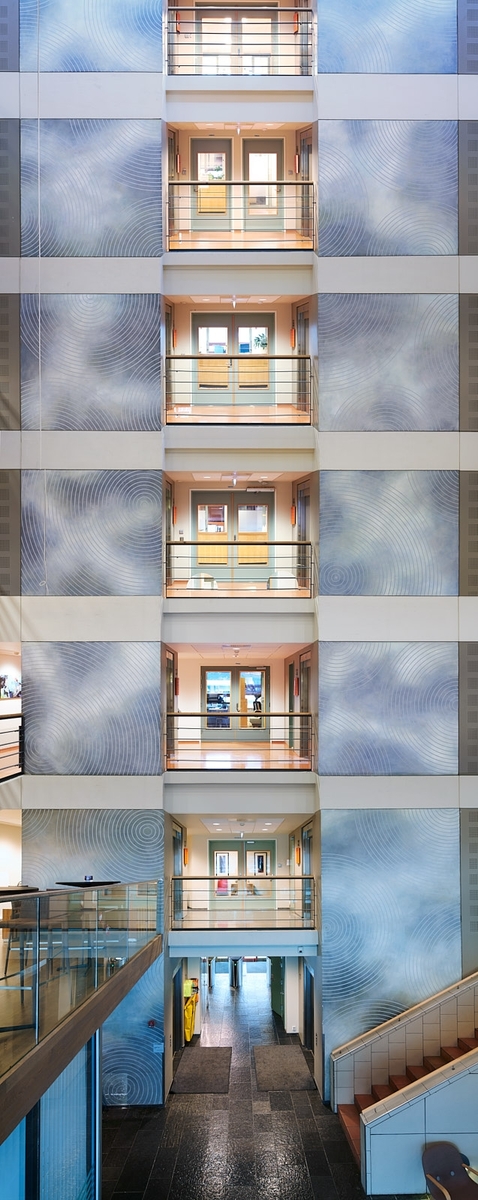 "Vertigo 2000" er en serie malte flater knyttet sammen av et sirkelornament som binder eller bryter med neste flate. Sirklene danner en transparent ornamentikk som "svever" over et romlig organisk billedrom.
