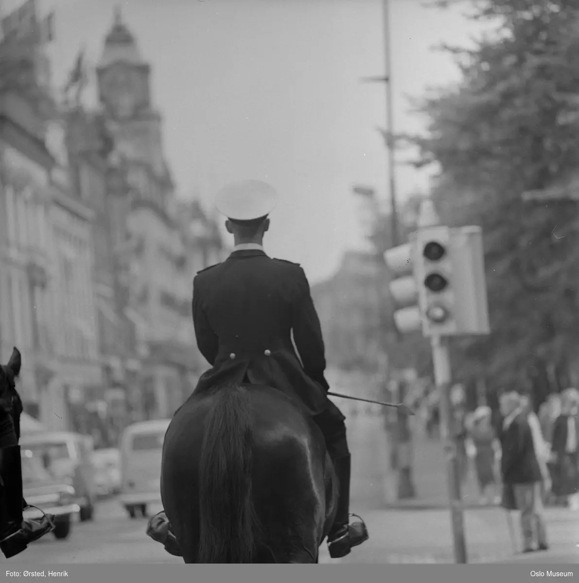 politimann, hest, ridende politi, trafikklys, gateliv