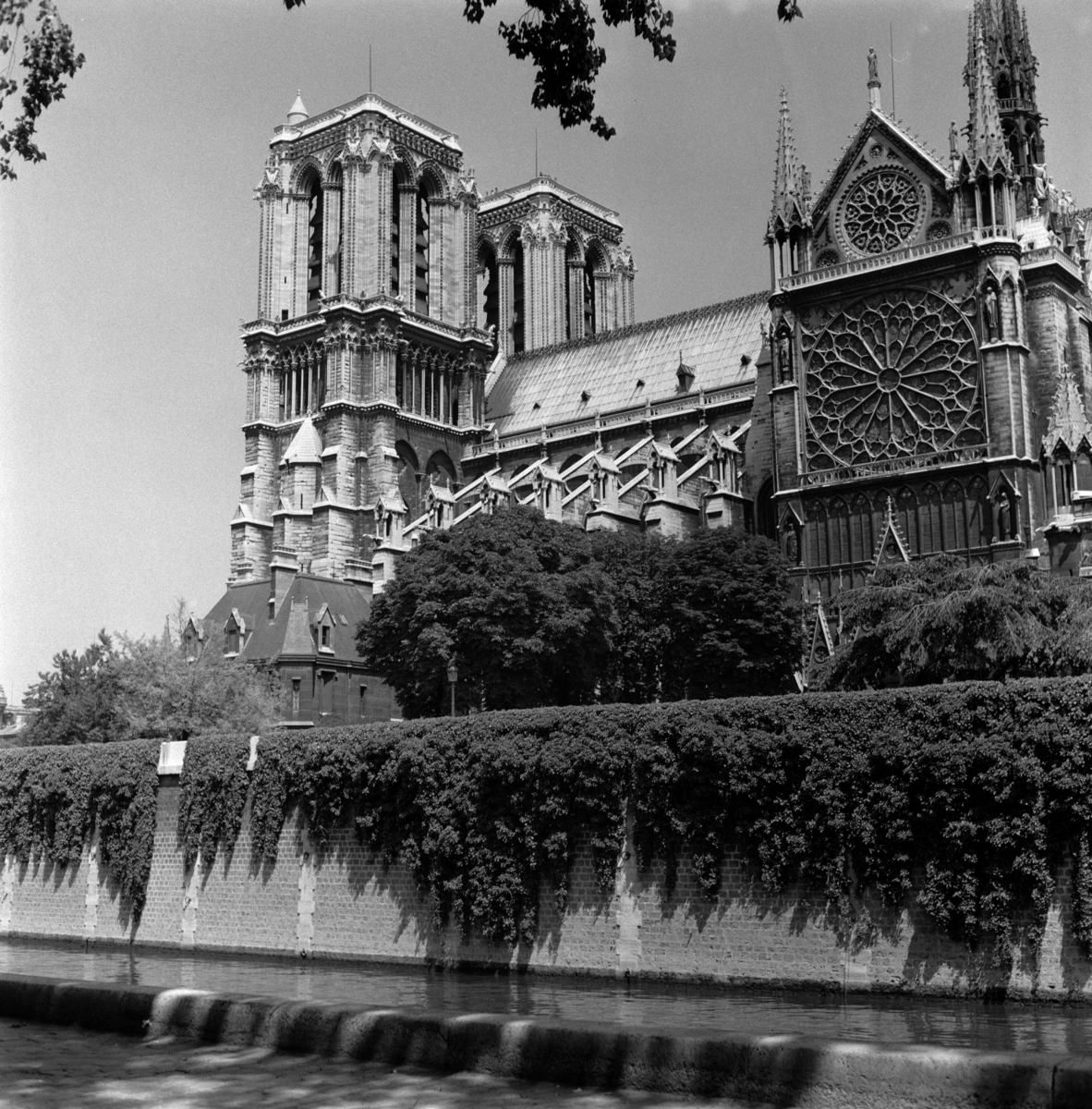 Notre-Dame i Paris.