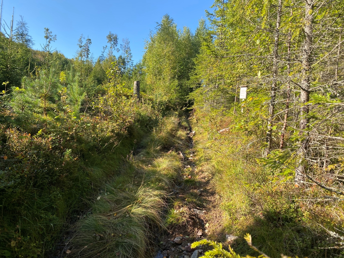 Kvartsbrott registrerad under arkeologisk utredning på Gullberget, Stora Tuna socken, Borlänge kommun