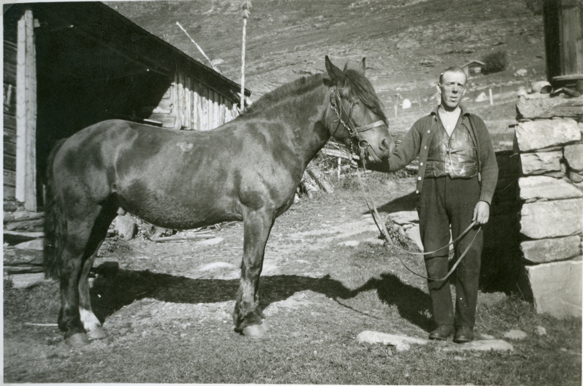 Paul Oldre med hesten