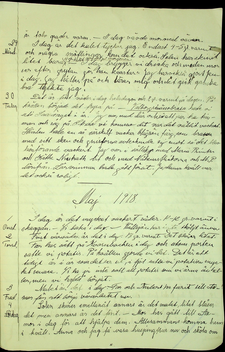 Dagbok skriven åren 1917-1918 av Rällsjö Brita på Rällsjögården i Bjursås socken. 
Innehåller anteckningar om bl.a. hushållsarbete,  jordbruksarbete, väderlek, rött norrsken, ransoneringskort och höjda matpriser.