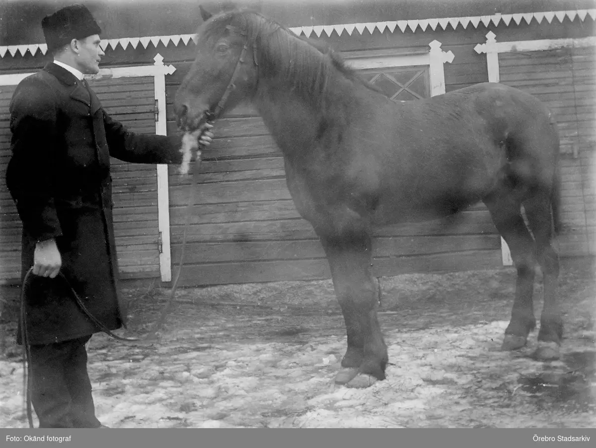 Man med häst

Mannen med hästen är Alvar Johansson, Knarsta.