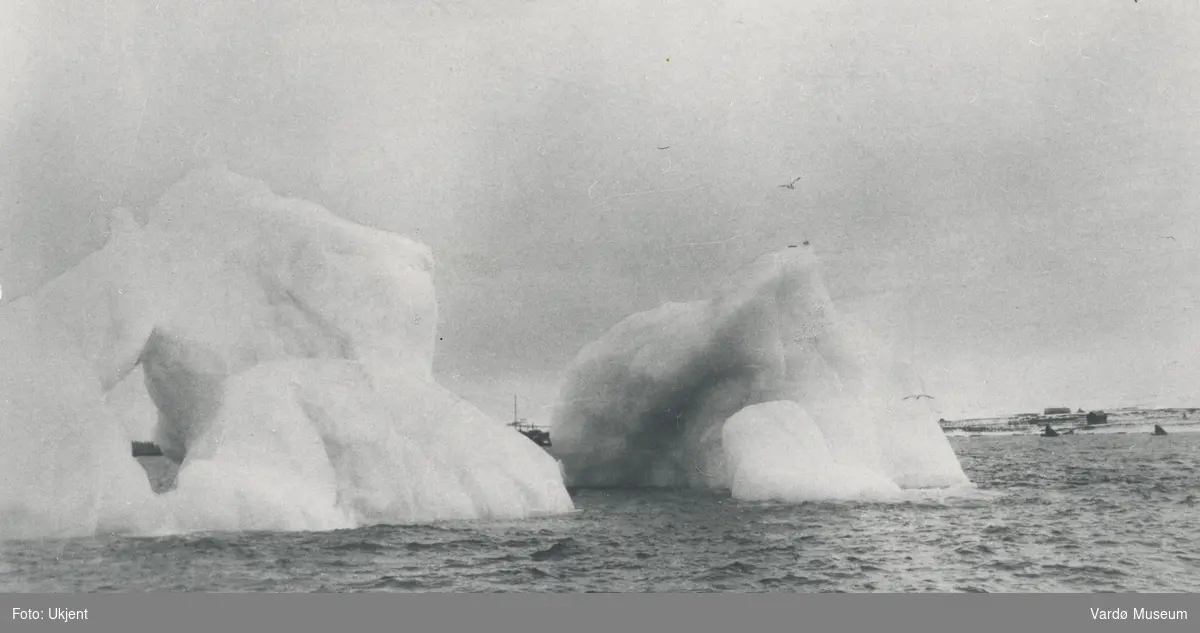 Isfjell utenfor nordre molo i Vardø i 1929.