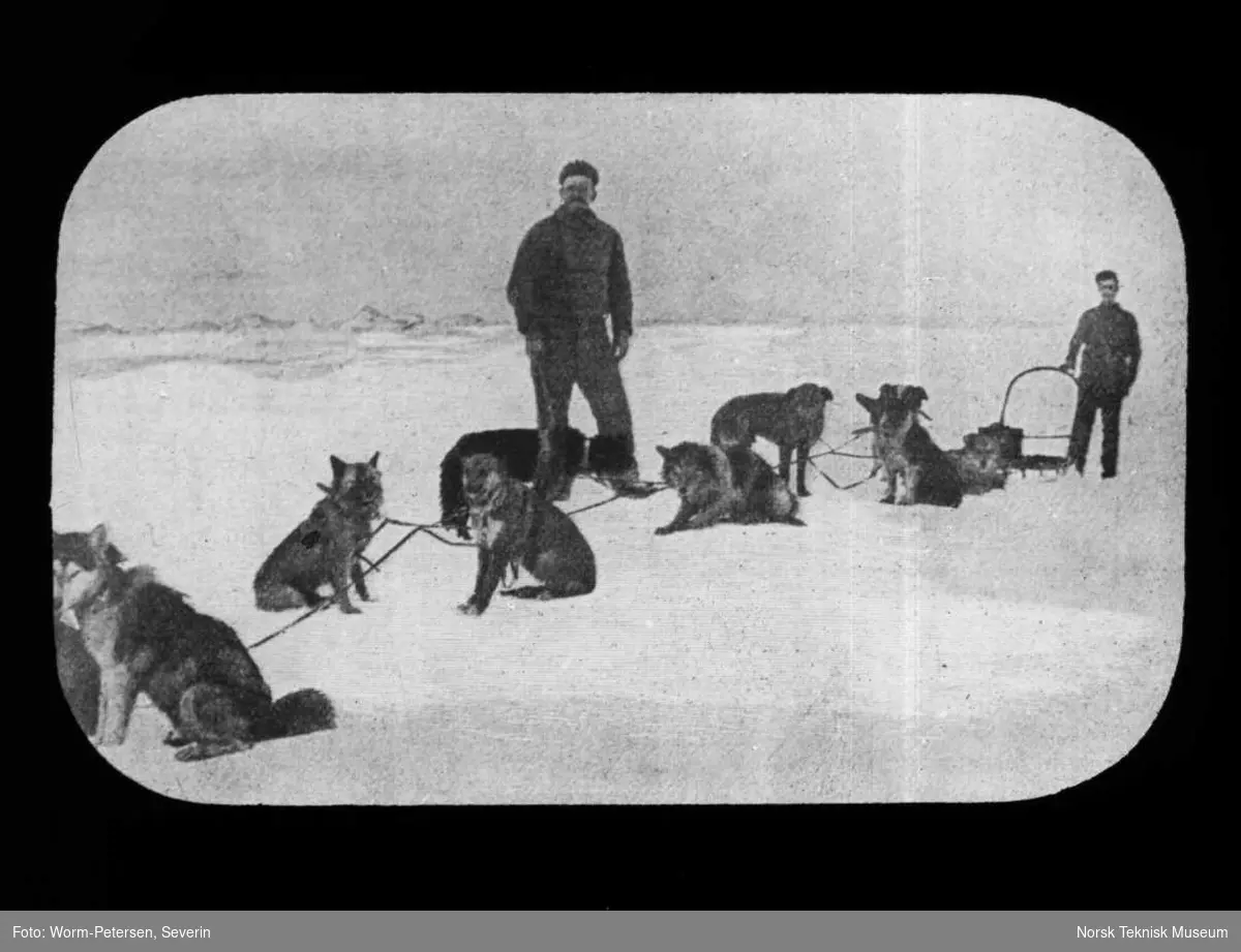 Oppøving av hundene på isen 1899