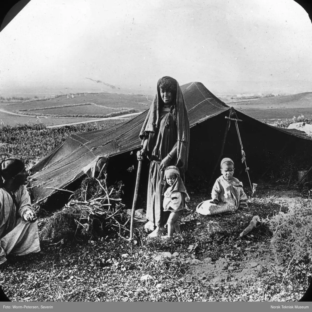 Dias. Beduin med sitt telt. Palestina
