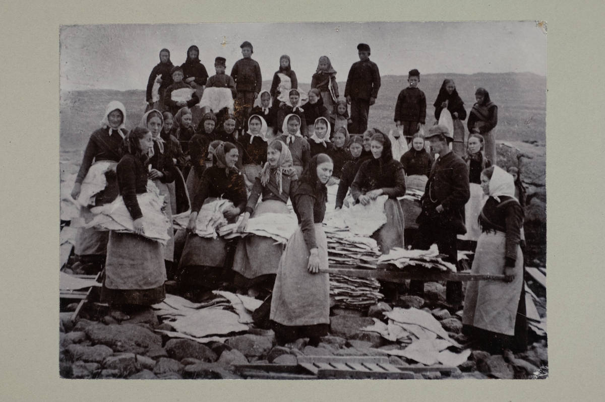 Gruppbild av kvinnor och barn som arbetar med torkad fisk på en strand.
Anteckning på baksidan: "Tilverkning af Klipfisk"