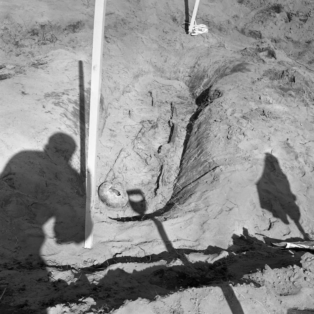 Kånna högar, undersökning 1964.04. Grav 296, skelettgrav.