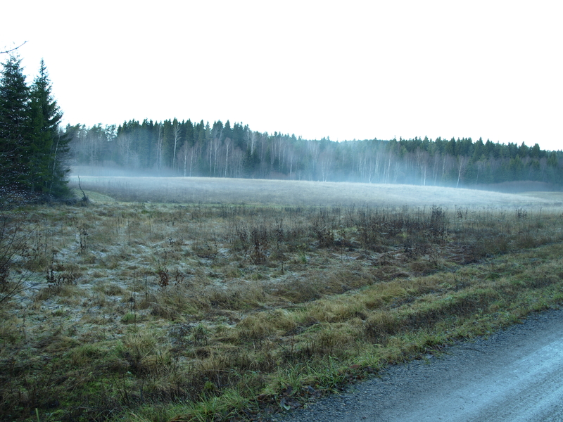 Skojarevallarna.