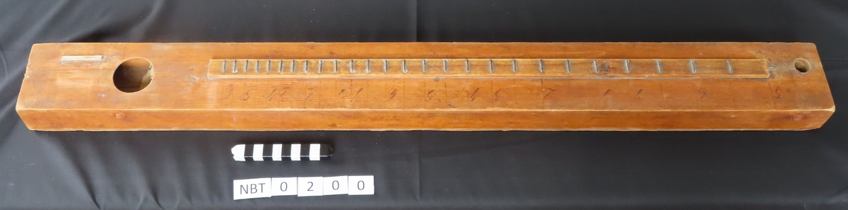 Salmodikon er et citerinstrument med en streng. Langs gripebrettet er det angitt tall som henviser til siffernoteskrift. Man spiller ved å bruke en fiolingstreng eller en finger.