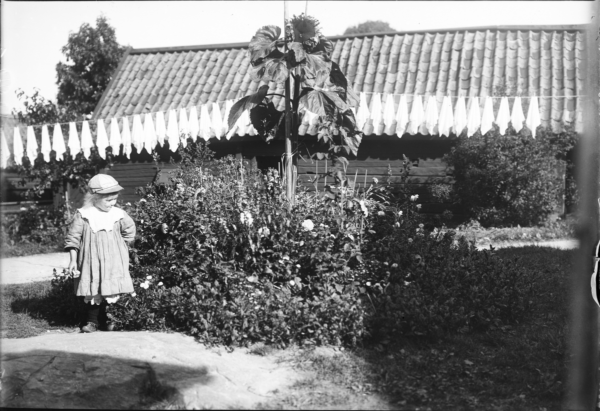 Tyra Edhlund står i trädgården, i bakgrunden tvättlina med tvätt, Östhammar, Uppland