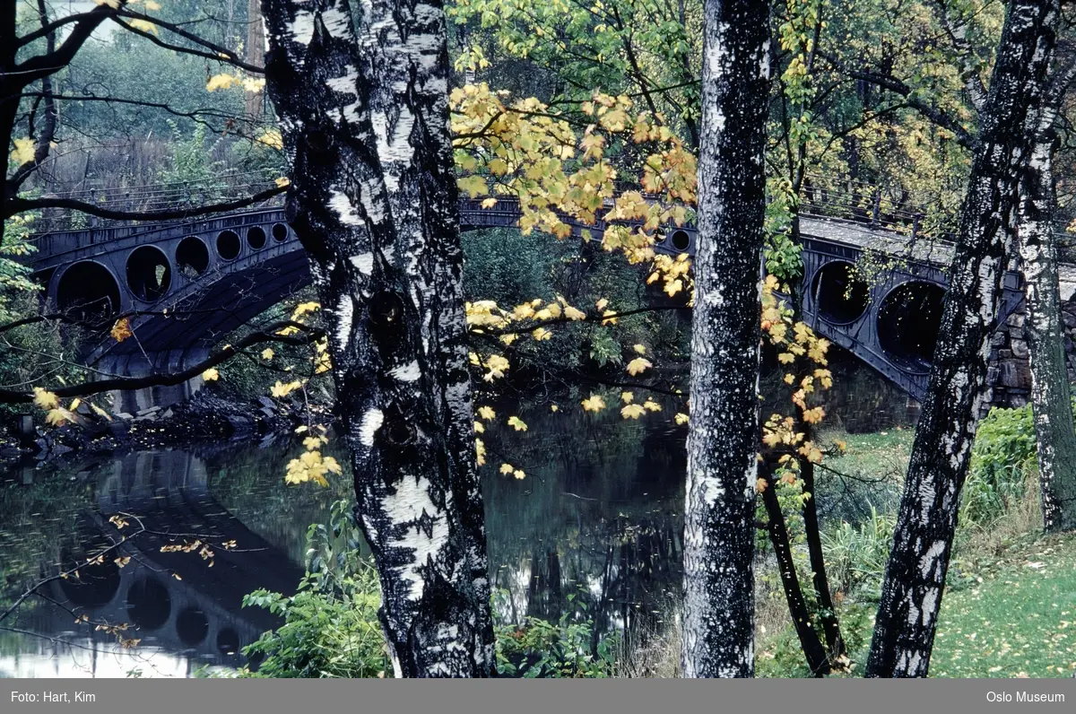 elv, Løkke bro, trær, høstløv