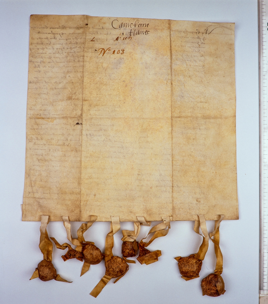 Baksiden av brev fra domkapitlet i Hamar datert 13. juni 1567. Brevet omhandler at domkapitlet ble fra tatt sine segl under syvårskrigen.  Brevet befinner seg i Rigsarkivet i København, Danmark.