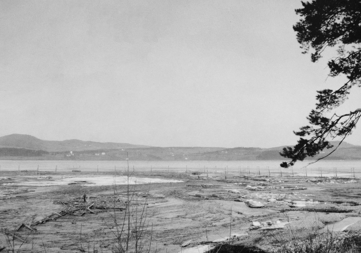 Stokke lense på Biri, nærmere bestemt ved Stokkeelvas utløp på vestsida av Mjøsa. Dette fotografiet ble tatt i sbegynnelsen av mai i 1928. På dette tidspunktet lå det fortsatt is på innsjøen, men i det innlensete området var i ferd med å bli bart. Der sto det en enslig tømmerfløter omgitt av noien få stokker, som et stigede vannspeil etter hvert ville løfte. Vi ser også pålerekka som skulle støtte lensa - som besto av sammenlenkete tømmerstokker som skulle fange opp løstømmeret som seinere på våren ble fløtet ned Stokkeelva. I bakgrunnen ser vi over mot Ringsak-landet på Hedmark-sida av innsjøen. I denne lensa skulle antakelig fløtingstømmeret fra Stokkeelva buntes, slik at det kunne bukseres videre over Mjøsa med en slepebåt. Det året dette fotografiet ble tatt var det innmeldt 137 315 tømmerstokker til tømmerfløting i Stokkeelva. 95 prosent av dette tømmeret skulle til sagbruk og papirfabrikker i nærområdet - langs Mjøsa og ved Eidsvoll. Det resterende skulle til skogindustrien i Østfold.