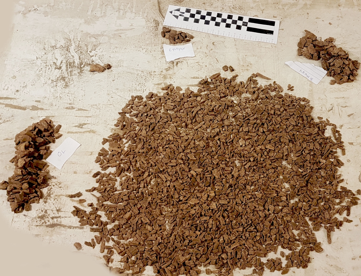 Osteologiskt material från undersökningen vid Åsen, Kolbäck 1962-1963
