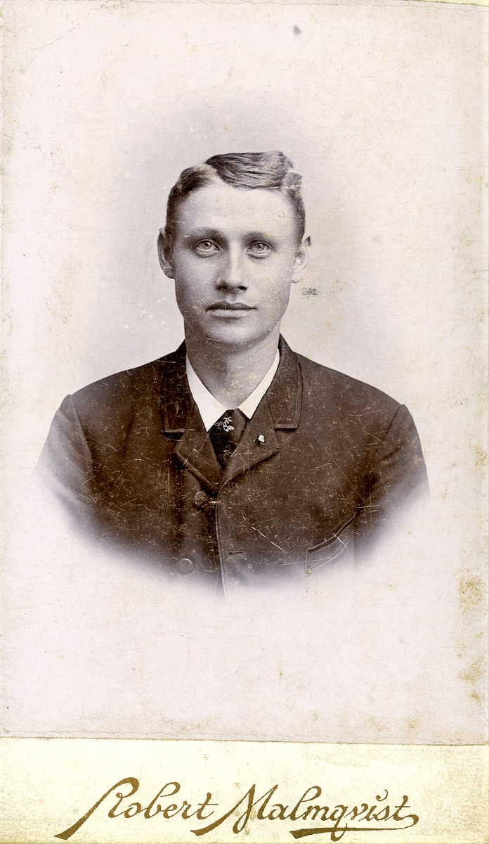 Ateljéporträtt av en okänd ung man med sidbena och mönstrad slips. Troligen fotograferad i Halmstad.