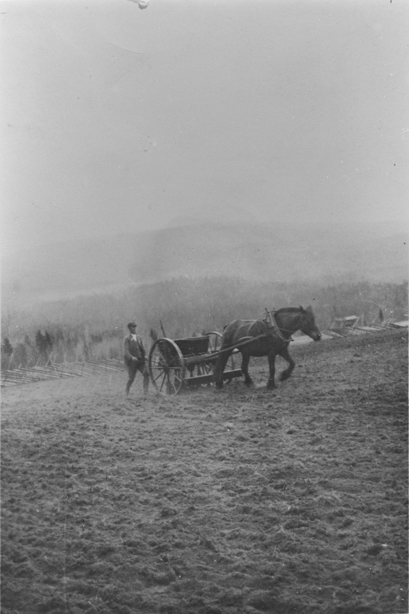 Såing på Frøvoll, ca. 1918. Thomas Skaar ved såmaskinen.
