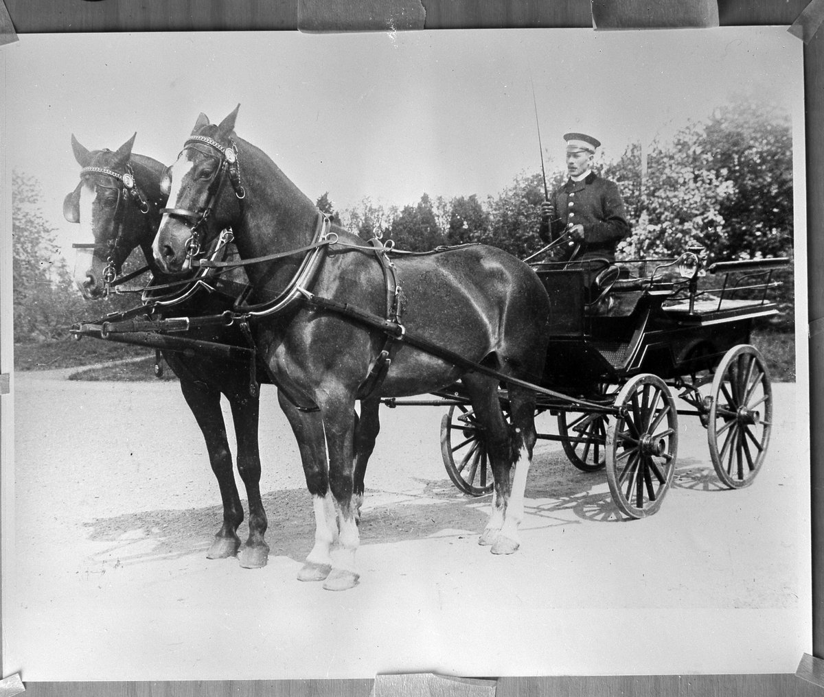 Reprofotografi av foto på kusk samt häst och vagn.
