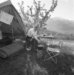 Foto av et oppslått telt blant blomstrende fruktrær. Foran t