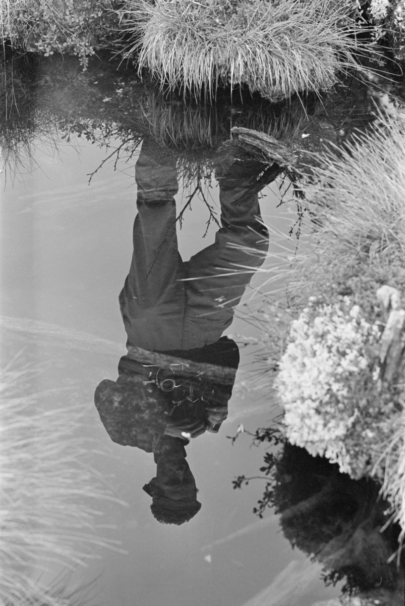 En mann fotograferer et myrlandskap ved Røros.