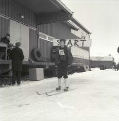 Ski Idrett