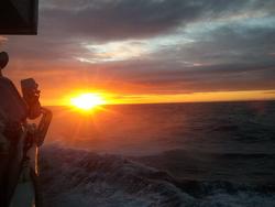 Sola ses først på havet!