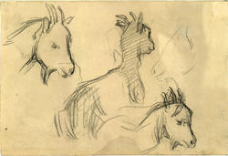 Tre geiter [Tegning]