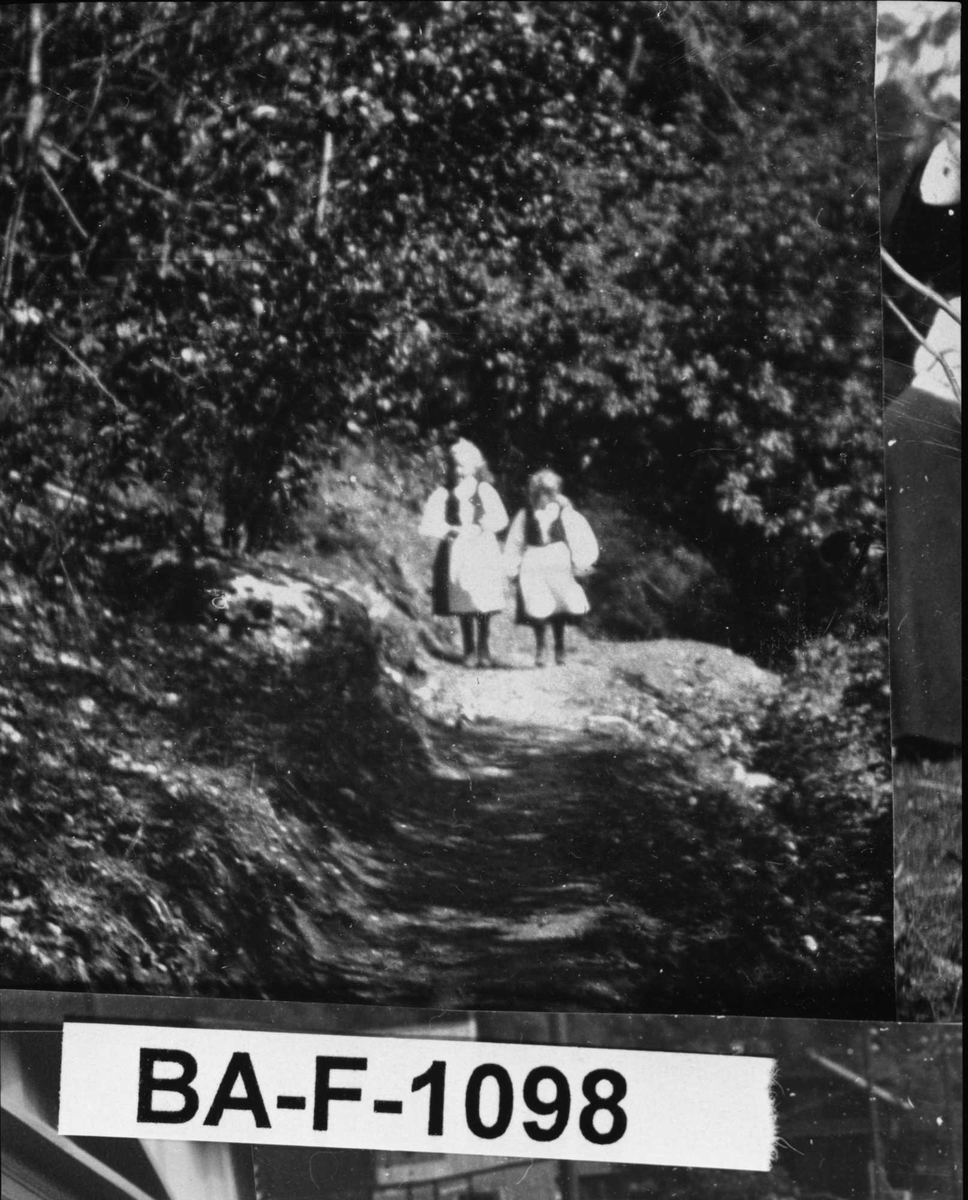 Diverse fotografi innrammet med eikeramme. Den er dekorert med metallriller.