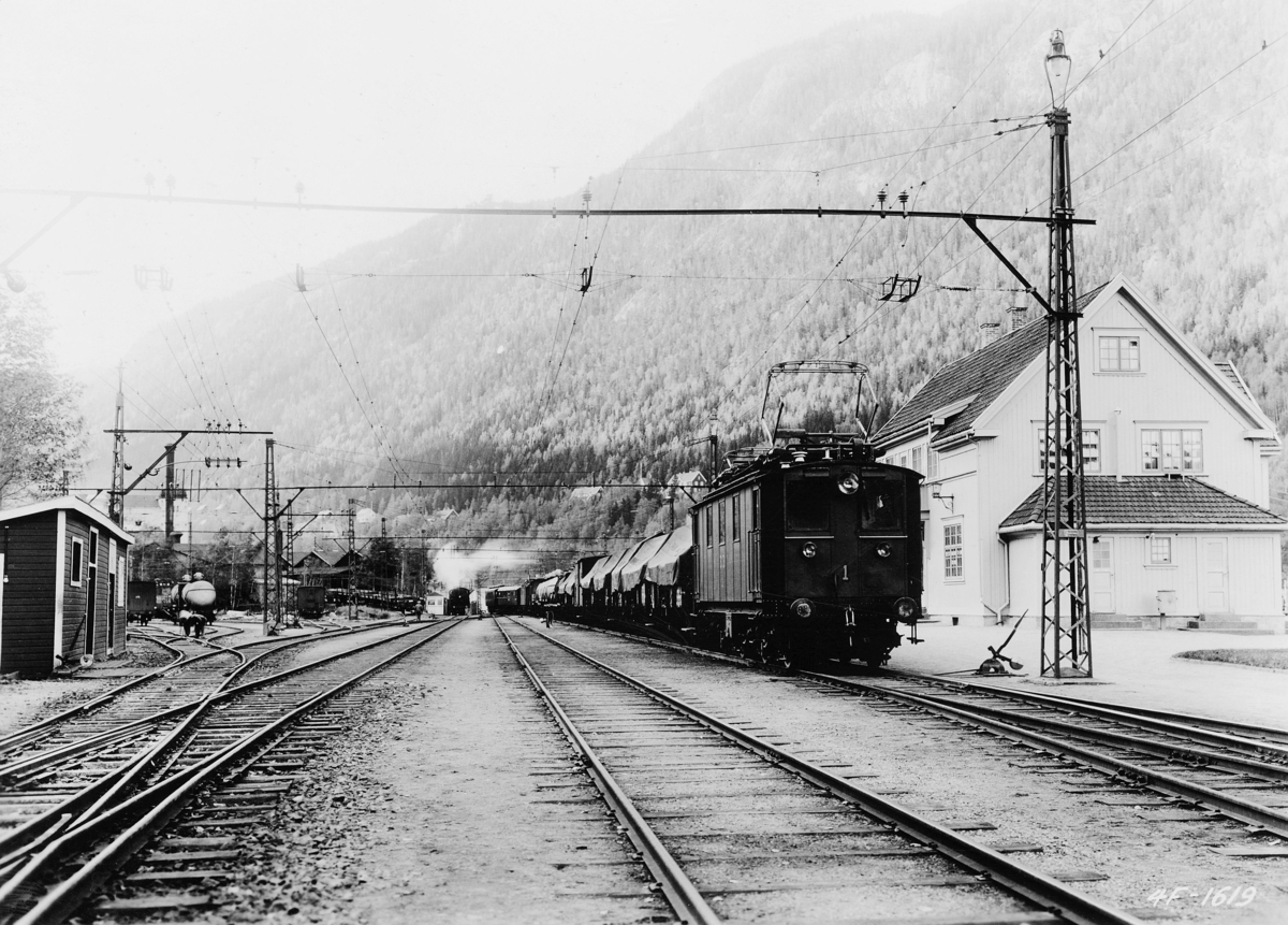 transport, tog, eksteriør, Rjukan, jernbanestasjon, tog