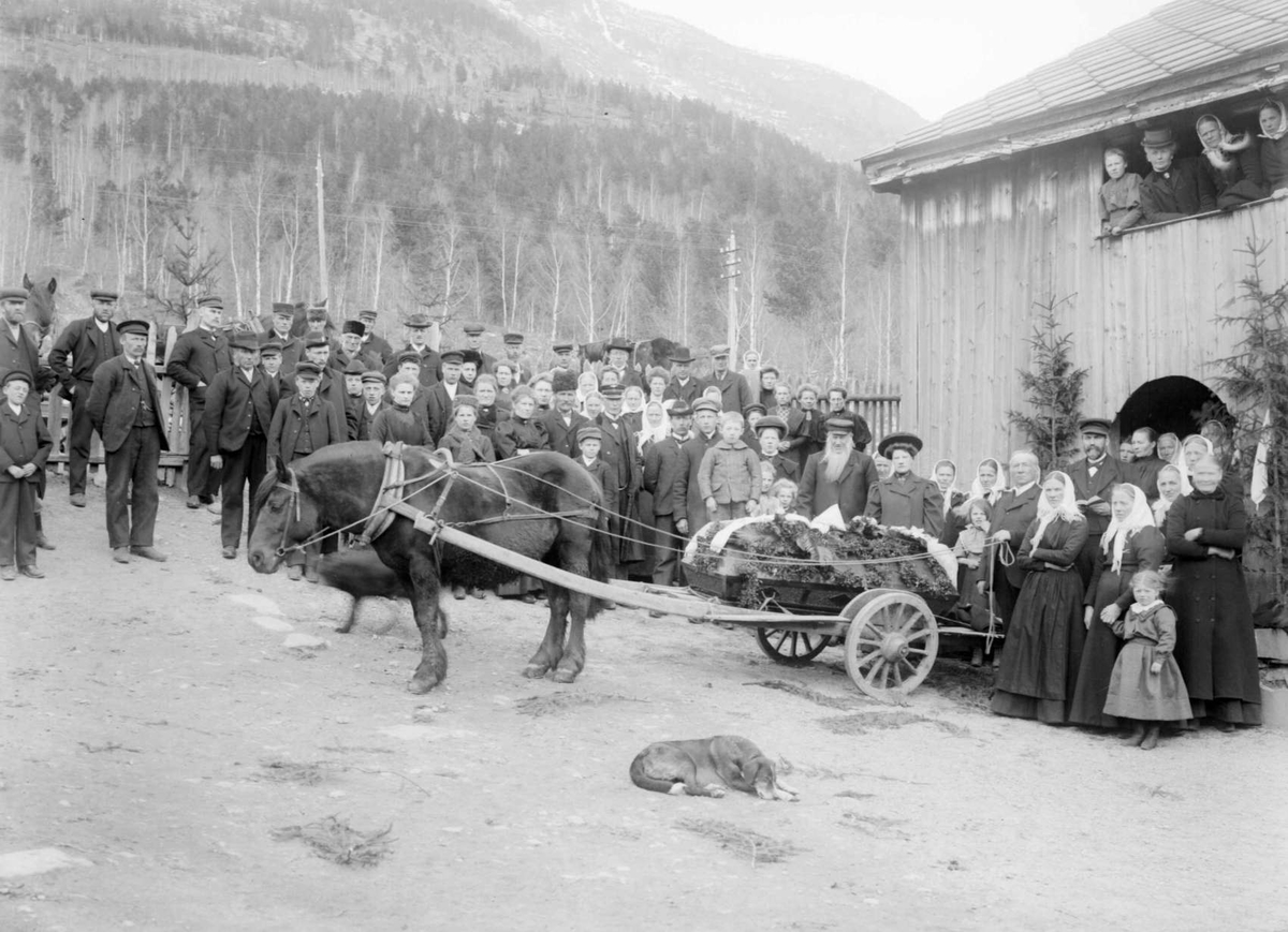 09.04.1910. Svend Ruststuens begravelse. Båre på hestevogn, begravelsesfølge, hest.