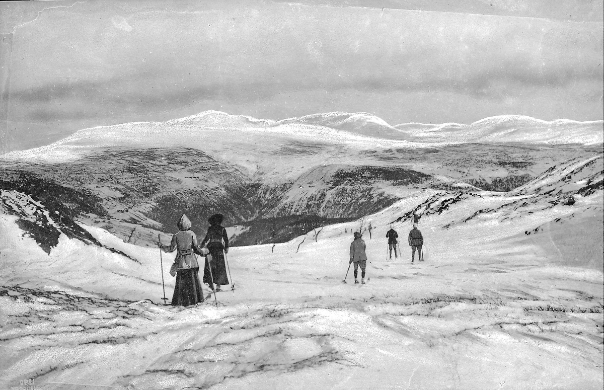 Skiløpere på fjellet, vinter







