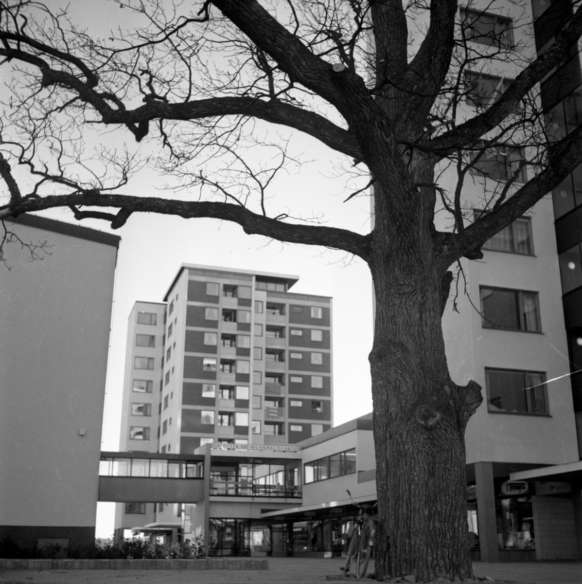 Johannelunds Centrum. Träd. Höghus. Johannelund.