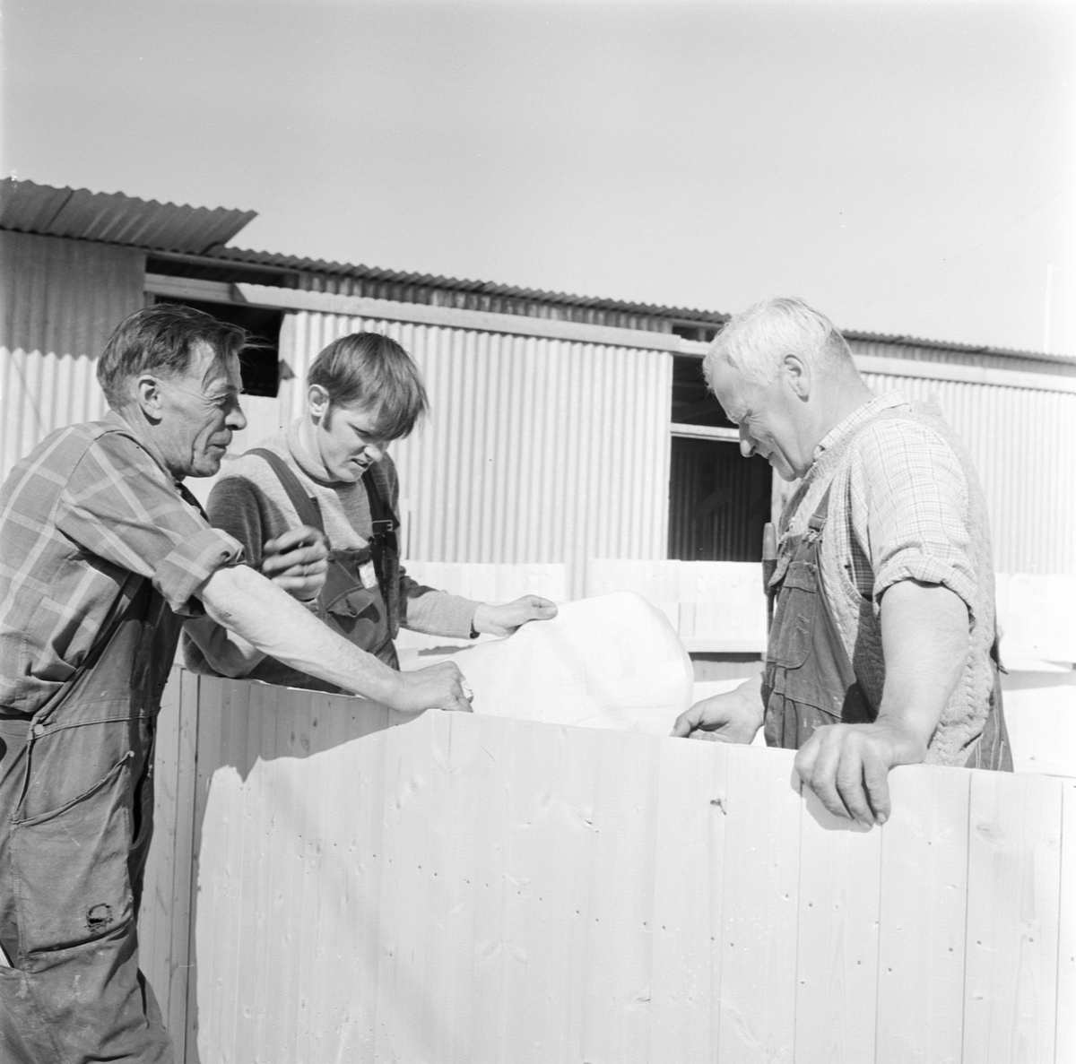 Snickare vid siloanläggning, Uppland 1969