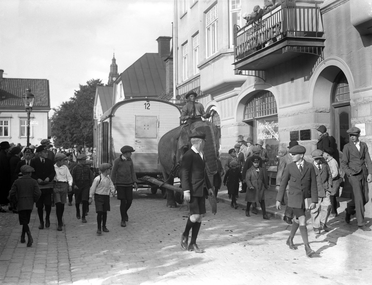 Ett alltid lika välkommet cirkussällskap har anlänt till Linköping och som synes följs det med stort intresse. Kortegen går utmed Sankt Larsgatan och i stunden passerar man Trädgårdstorget. Bilden är odaterad med bär 1920-talets omisskännliga prägel.