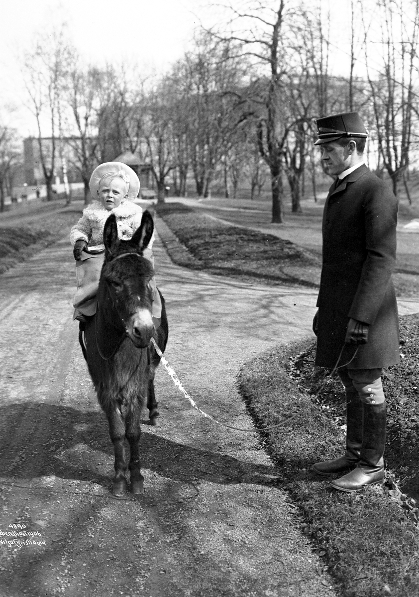 Kronprins Olav rider på et esel 16/4 1906